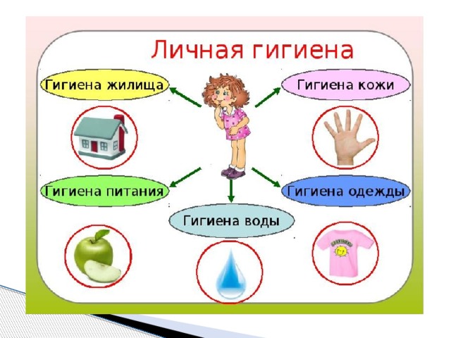 Презентация естествознание 3 класс