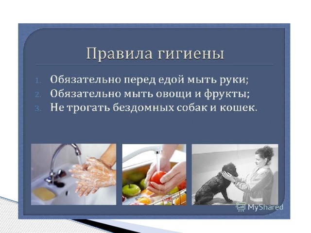 Презентация естествознание 3 класс