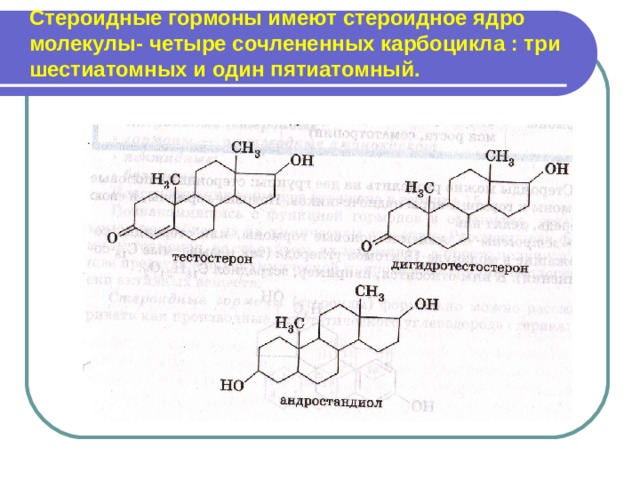 Стероидные гормоны биохимия презентация