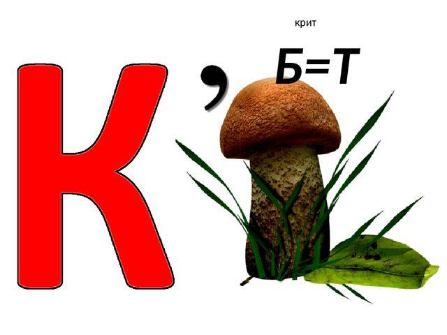 Ребусы по истории россии 7 класс с ответами в картинках