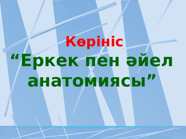 Көрініс “ Еркек пен әйел анатомиясы”  