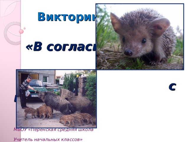 Викторина  «В согласии    с природой»     МБОУ «Перенская средняя школа  Учитель начальных классов»  И.И.Чернышова
