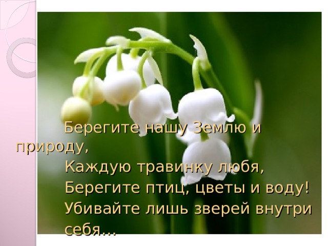 Берегите нашу Землю и природу,  Каждую травинку любя,  Берегите птиц, цветы и воду!  Убивайте лишь зверей внутри  себя…