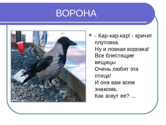 Эта птица знакома всем. Ворона кар кар. Ворона любит блестящее. Кар кар кар кричит ворона. Ворона любит все блестящее.