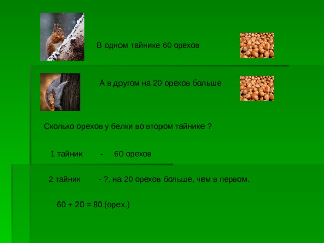 Белочка спрятала орешки по адресам нарисуй эти орешки на координатной сетке