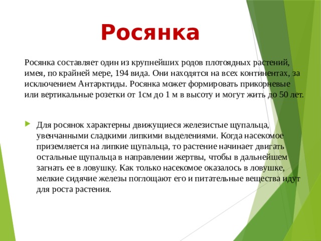 Росянка Росянка составляет один из крупнейших родов плотоядных растений, имея, по крайней мере, 194 вида. Они находятся на всех континентах, за исключением Антарктиды. Росянка может формировать прикорневые или вертикальные розетки от 1см до 1 м в высоту и могут жить до 50 лет. Для росянок характерны движущиеся железистые щупальца, увенчанными сладкими липкими выделениями. Когда насекомое приземляется на липкие щупальца, то растение начинает двигать остальные щупальца в направлении жертвы, чтобы в дальнейшем загнать ее в ловушку. Как только насекомое оказалось в ловушке, мелкие сидячие железы поглощают его и питательные вещества идут для роста растения. 