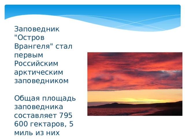 Заповедник 