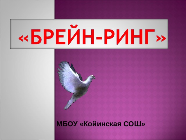  МБОУ «Койинская СОШ» 