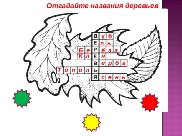 Отгадайте названия деревьев у б л ь Б е ё з а К л н е р б а Т о п о л с е н ь 