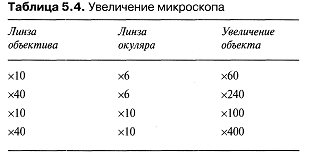 Для чего вычисляется линейное увеличение клеток. Смотреть фото Для чего вычисляется линейное увеличение клеток. Смотреть картинку Для чего вычисляется линейное увеличение клеток. Картинка про Для чего вычисляется линейное увеличение клеток. Фото Для чего вычисляется линейное увеличение клеток
