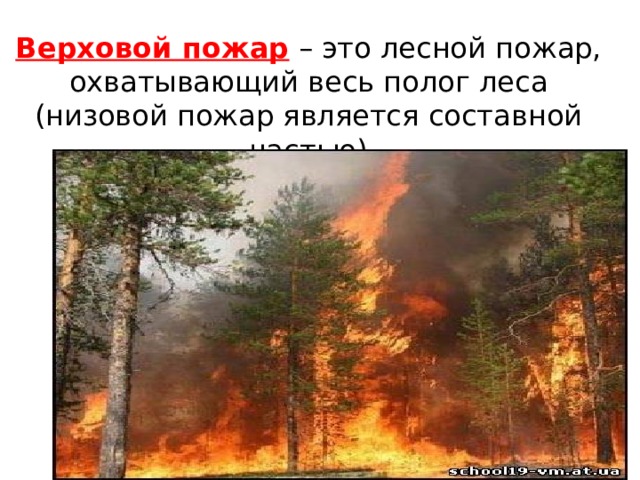 Верховой пожар  – это лесной пожар, охватывающий весь полог леса (низовой пожар является составной частью)   