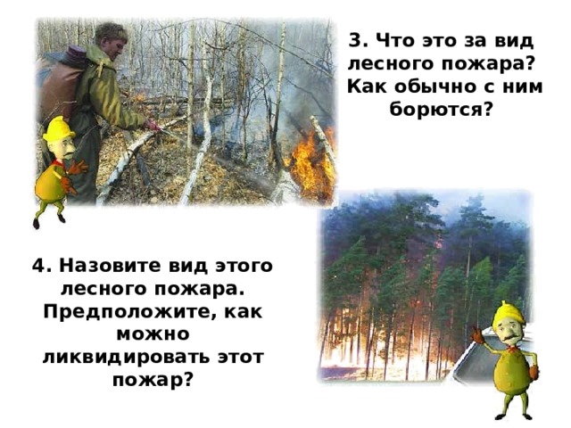 3. Что это за вид лесного пожара?  Как обычно с ним борются? 4. Назовите вид этого лесного пожара. Предположите, как можно ликвидировать этот пожар? 