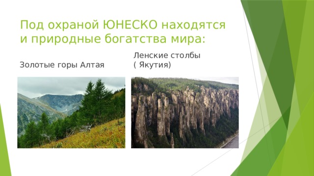 Под охраной ЮНЕСКО находятся и природные богатства мира: Золотые горы Алтая Ленские столбы ( Якутия) 