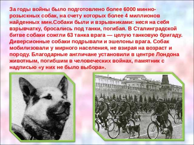 За годы войны было подготовлено более 6000 минно-розыскных собак, на счету которых более 4 миллионов найденных мин.Собаки были и взрывниками: неся на себя взрывчатку, бросались под танки, погибая. В Сталинградской битве собаки сожгли 63 танка врага — целую танковую бригаду. Диверсионные собаки подрывали и эшелоны врага. Собак мобилизовали у мирного населения, не взирая на возраст и породу. Благодарные англичане установили в центре Лондона животным, погибшим в человеческих войнах, памятник с надписью «у них не было выбора». 