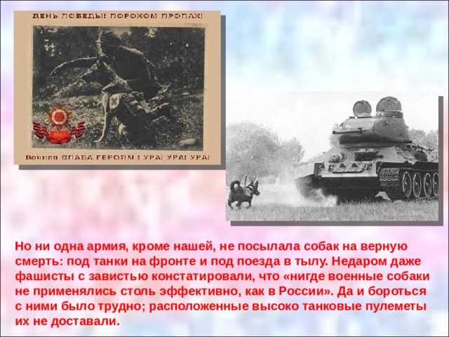 Но ни одна армия, кроме нашей, не посылала собак на верную смерть: под танки на фронте и под поезда в тылу. Недаром даже фашисты с завистью констатировали, что «нигде военные собаки не применялись столь эффективно, как в России». Да и бороться с ними было трудно; расположенные высоко танковые пулеметы их не доставали. 