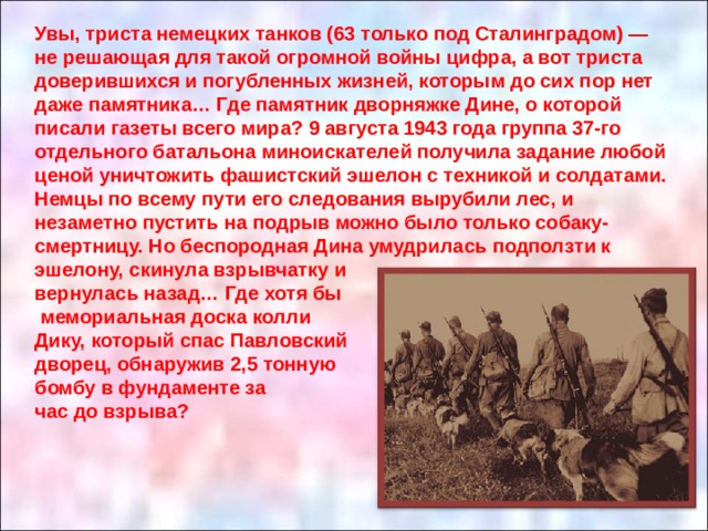 Увы, триста немецких танков (63 только под Сталинградом) — не решающая для такой огромной войны цифра, а вот триста доверившихся и погубленных жизней, которым до сих пор нет даже памятника… Где памятник дворняжке Дине, о которой писали газеты всего мира? 9 августа 1943 года группа 37-го отдельного батальона миноискателей получила задание любой ценой уничтожить фашистский эшелон с техникой и солдатами. Немцы по всему пути его следования вырубили лес, и незаметно пустить на подрыв можно было только собаку-смертницу. Но беспородная Дина умудрилась подползти к эшелону, скинула взрывчатку и вернулась назад… Где хотя бы  мемориальная доска колли Дику, который спас Павловский дворец, обнаружив 2,5 тонную бомбу в фундаменте за час до взрыва? 