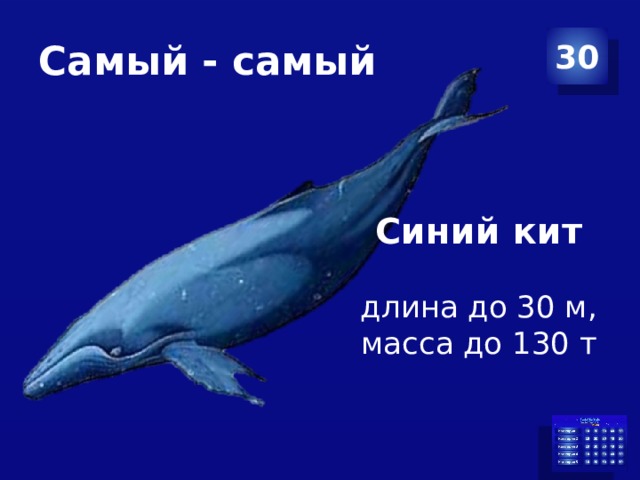Самый - самый 30 Синий кит длина до 30 м, масса до 130 т 