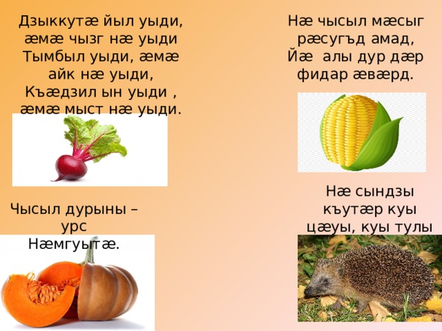 Нæ чысыл мæсыг рæсугъд амад, Дзыккутæ йыл уыди, æмæ чызг нæ уыди Тымбыл уыди, æмæ айк нæ уыди, Йæ алы дур дæр фидар æвæрд. Къæдзил ын уыди , æмæ мыст нæ уыди. Нæ сындзы къутæр куы цæуы, куы тулы Чысыл дурыны – урс Нæмгуытæ. 
