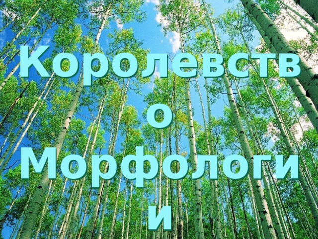 Королевство морфологии для обучающихся начальной школы презентация