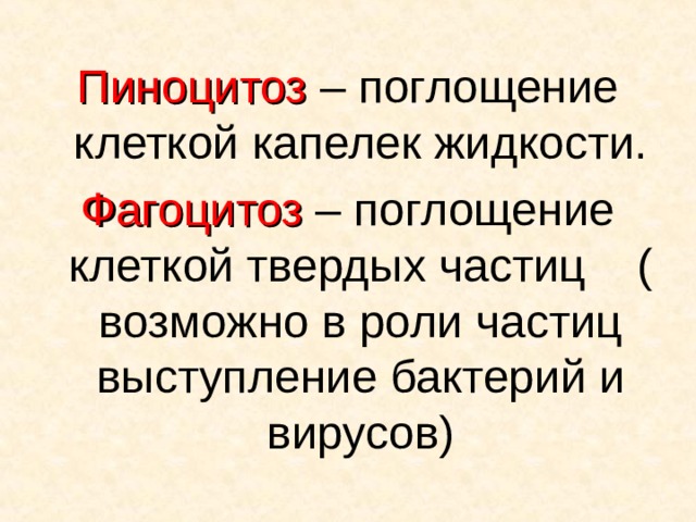 Пиноцитоз – поглощение клеткой капелек жидкости. Фагоцитоз – поглощение клеткой твердых частиц ( возможно в роли частиц выступление бактерий и вирусов)  