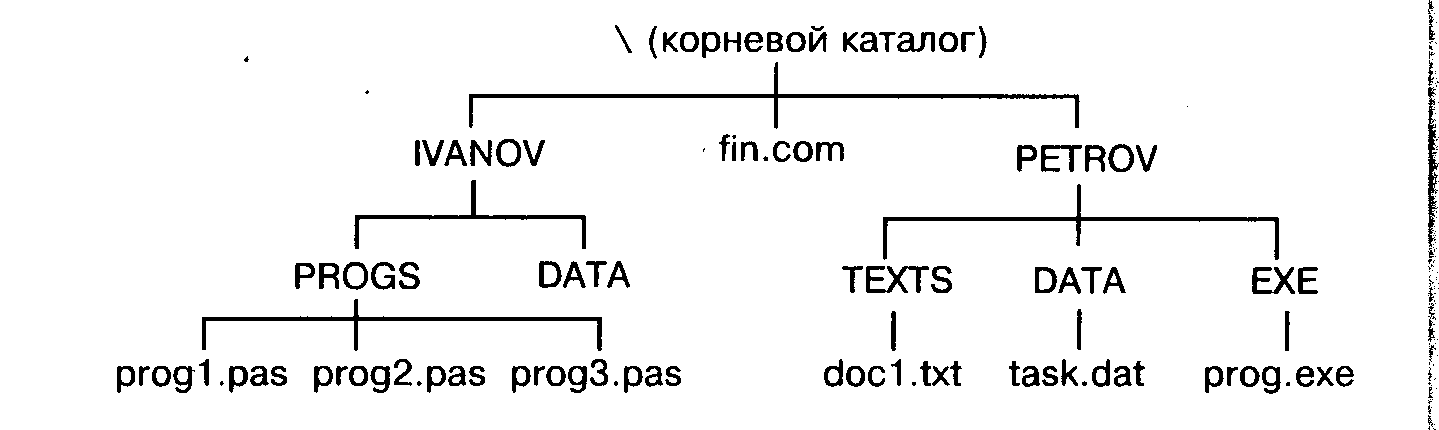 Как называется графическое изображение иерархической файловой структуры