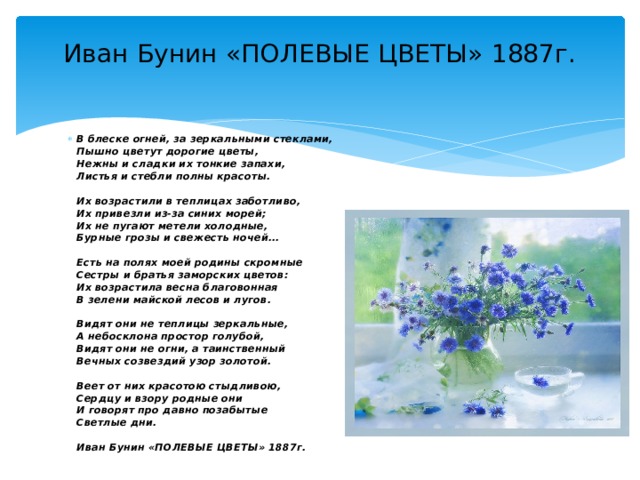 Полевых цветочков песня. Стихотворение Бунина полевые цветы. Стихотворение Ивана Бунина полевые цветы.