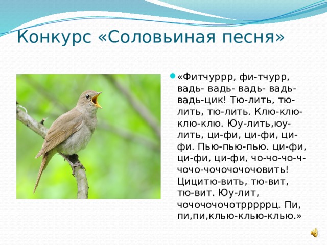 Кто поет вить вить