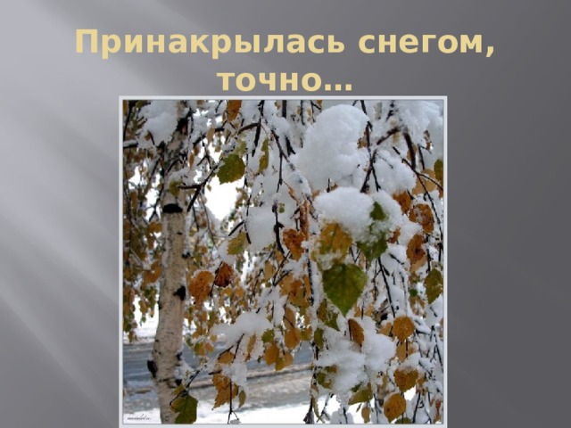 Принакрылась снегом, точно… 