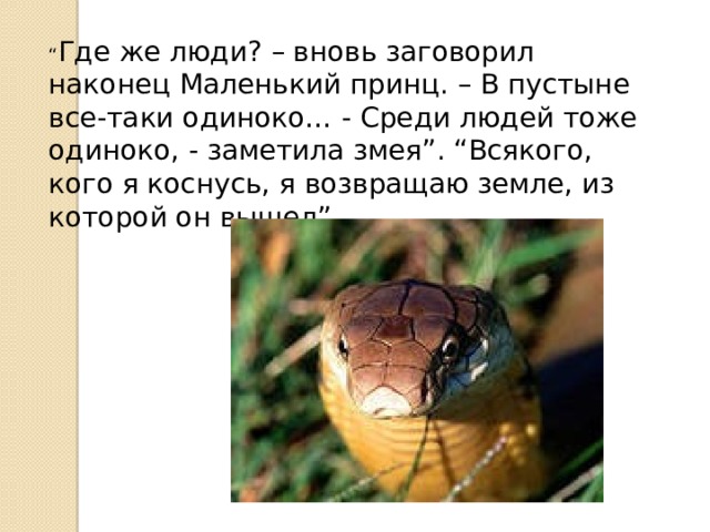 “ Где же люди? – вновь заговорил наконец Маленький принц. – В пустыне все-таки одиноко… - Среди людей тоже одиноко, - заметила змея”. “Всякого, кого я коснусь, я возвращаю земле, из которой он вышел”. 