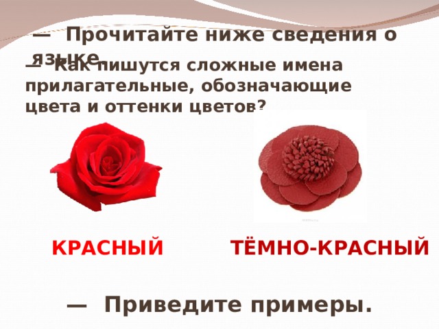 Как пишется красный. Прилагательные обозначающие оттенки цветов. Сложные прилагательные обозначающие оттенки цветов. Сложные имена прилагательные цвета и оттенки. Прилагательное которое обозначает оттенки цветов.