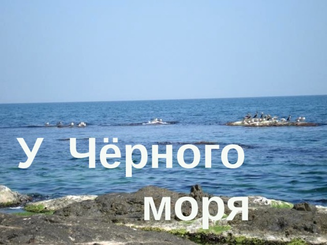 У Чёрного       моря 