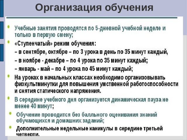 Организация обучения 