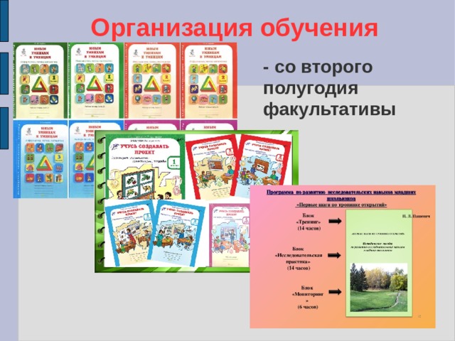 Организация обучения - со второго полугодия факультативы 