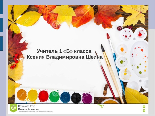 Учитель 1 «Б» класса  Ксения Владимировна Шеина   