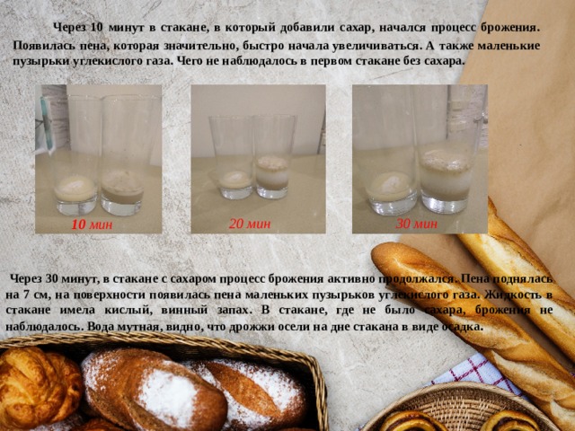  Через 10 минут в стакане, в который добавили сахар, начался процесс брожения. Появилась пена, которая значительно, быстро начала увеличиваться. А также маленькие пузырьки углекислого газа. Чего не наблюдалось в первом стакане без сахара.  20 мин  30 мин  10 мин  Через 30 минут, в стакане с сахаром процесс брожения активно продолжался. Пена поднялась на 7 см, на поверхности появилась пена маленьких пузырьков углекислого газа. Жидкость в стакане имела кислый, винный запах. В стакане, где не было сахара, брожения не наблюдалось. Вода мутная, видно, что дрожжи осели на дне стакана в виде осадка . 