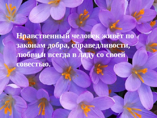 Нравственный человек живёт по законам добра, справедливости, любви и всегда в ладу со своей совестью. 