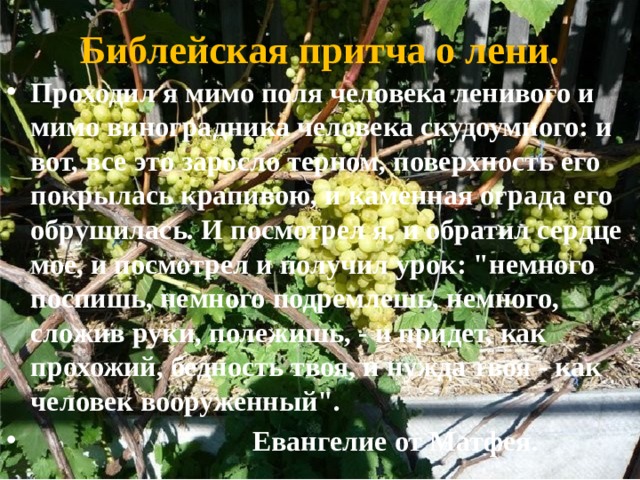 Библейская притча о лени. Проходил я мимо поля человека ленивого и мимо виноградника человека скудоумного: и вот, все это заросло терном, поверхность его покрылась крапивою, и каменная ограда его обрушилась. И посмотрел я, и обратил сердце мое, и посмотрел и получил урок: 