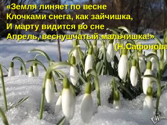 «Земля линяет по весне Клочками снега, как зайчишка, И марту видится во сне Апрель, веснушчатый мальчишка!» (Н.Сафонова) «  