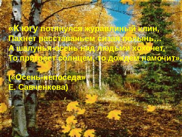 «К югу потянулся журавлиный клин, Пахнет расставаньем сизая полынь… А шалунья-осень над людьми хохочет, То пригреет солнцем, то дождем намочит».  («Осень-непоседа» Е. Савченкова)  