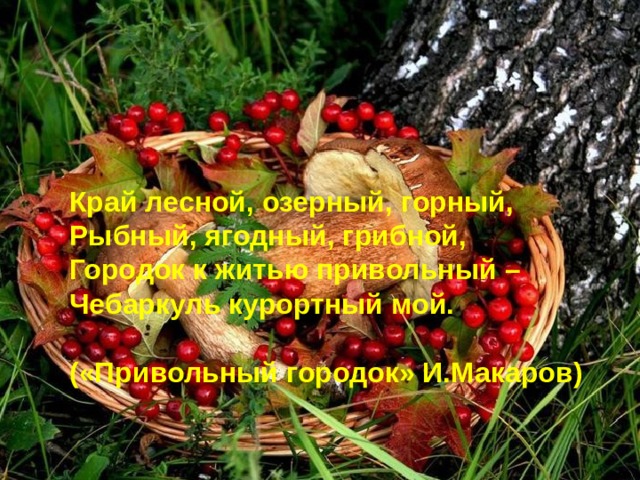 Край лесной, озерный, горный, Рыбный, ягодный, грибной, Городок к житью привольный – Чебаркуль курортный мой.  («Привольный городок» И.Макаров)  