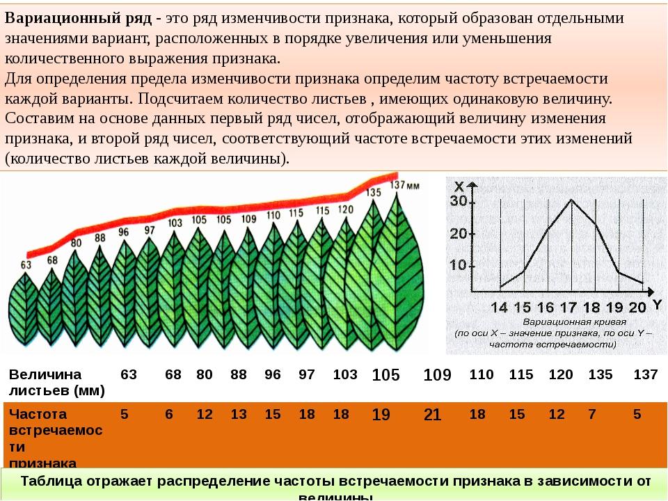 Прирост биомассы популяции щук