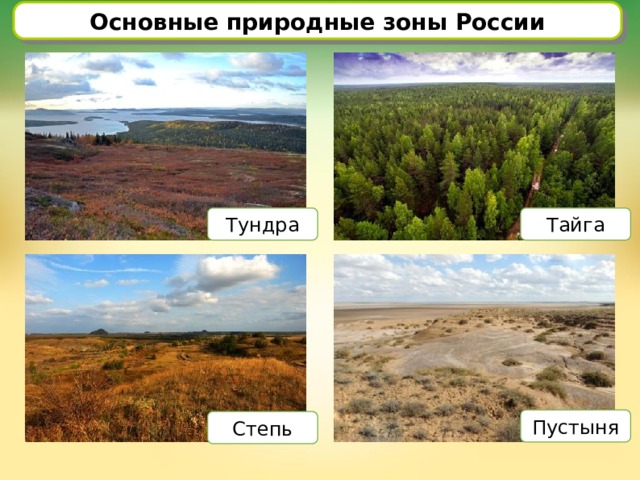 Основные природные зоны России Тундра Тайга Пустыня Степь 