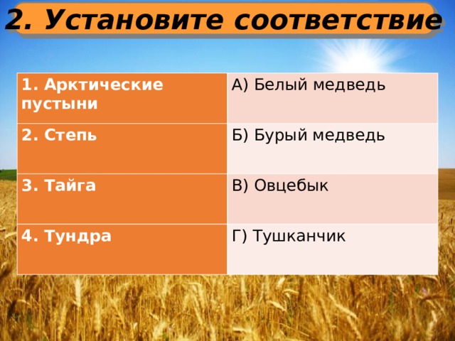 2. Установите соответствие 1. Арктические пустыни А) Белый медведь 2. Степь Б) Бурый медведь 3. Тайга В) Овцебык 4. Тундра Г) Тушканчик 