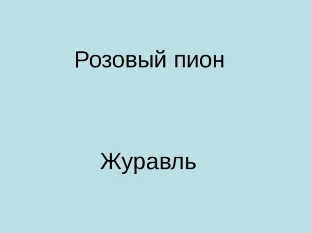  Розовый пион  Журавль 