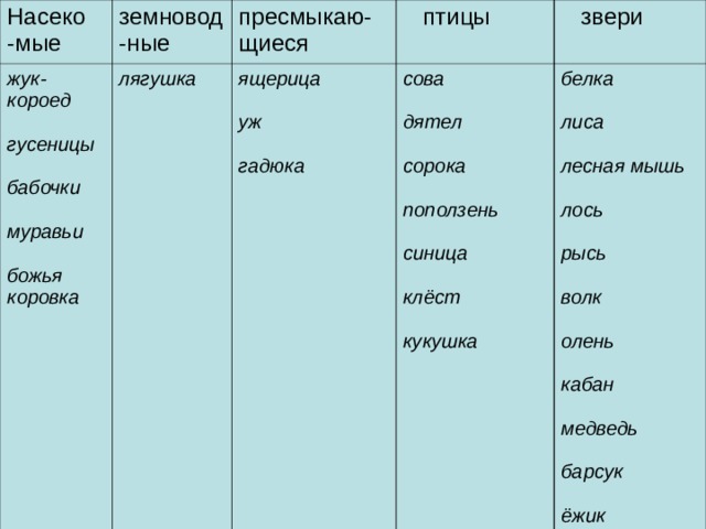 Насеко -мые земновод-ные жук- короед  гусеницы  бабочки  муравьи  божья коровка пресмыкаю-щиеся лягушка  птицы ящерица  уж  гадюка  звери сова  дятел  сорока  поползень  синица  клёст  кукушка белка  лиса  лесная мышь  лось  рысь  волк  олень  кабан  медведь  барсук  ёжик    