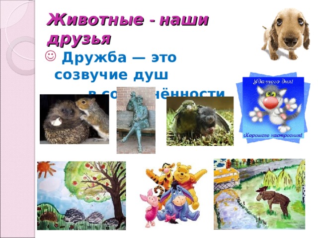 Животные - наши друзья  Дружба — это созвучие душ  в соединённости судеб.   