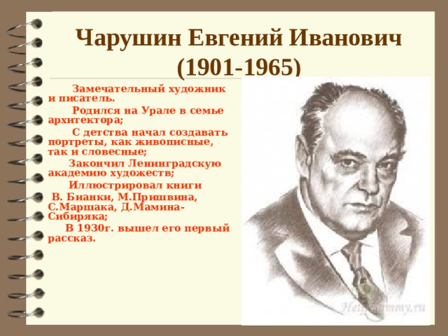 Чарушин биография. Портрет Чарушина для детей. Евгений Чарушин биография для 5 класса. Чарушин родился. Е.И Чарушин биография кратко.