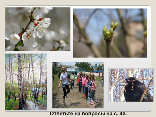 Ответьте на вопросы на с. 43. 