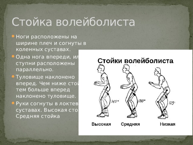 Виды стоек. Стойка и передвижения волейболиста. Стойки в баскетболе. Низкая стойка волейболиста. Низкая средняя высокая стойки в баскетболе.