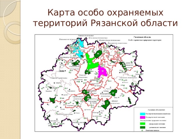 Карта леса рязанской области